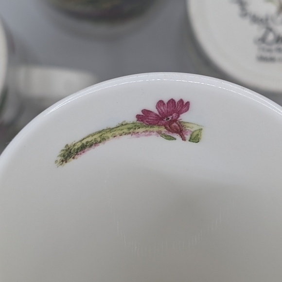 Dunoon Red Campion Fine China 10 Oz Mug Set English Wildflowers Jane Fern - Picture 10 of 12